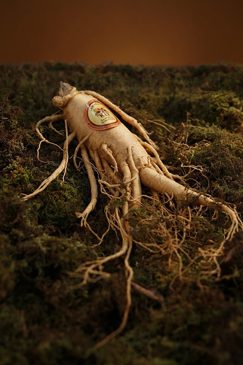 Valerian Roots